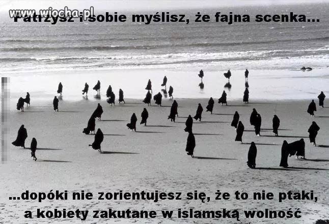 Pokazy bikini już niedługo w