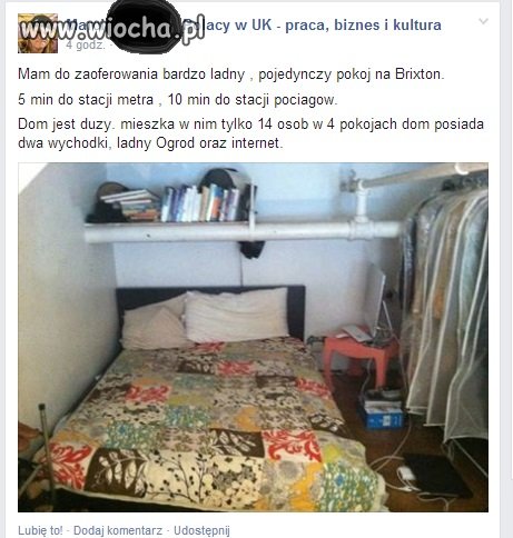 Pokój do wynajęcia - Polacy w UK 
