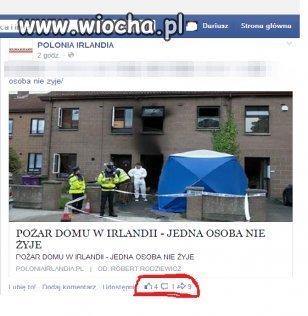 Człowiek ginie a debile Lajkują post... chore 