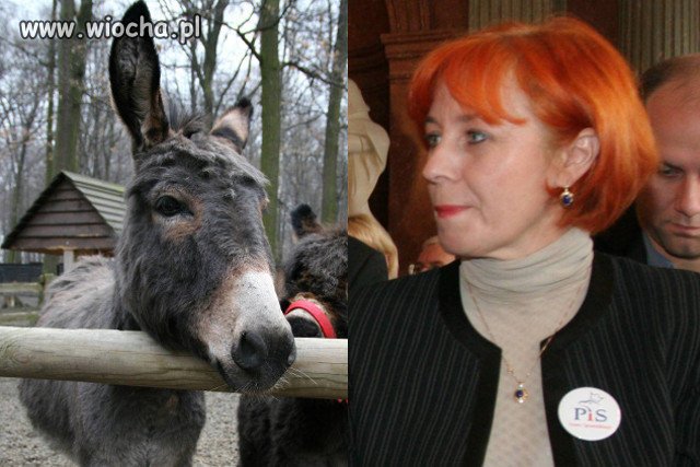 Bo pani radna była po prostu zazdrosna