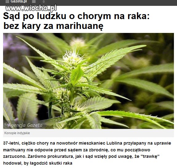 Brawo dla sędziego!!!