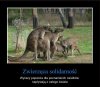 Potrzebna tu PISowska interwencja 