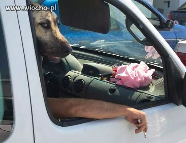 Czas na szluga... 