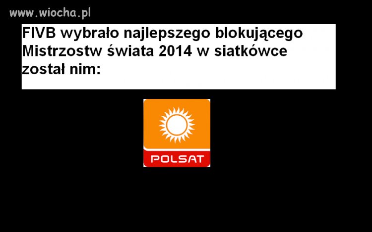 Zawodnik roku