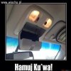 Przerażone auto