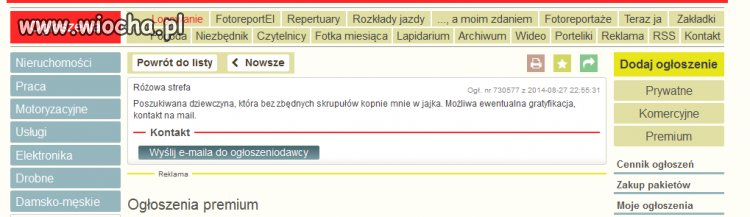 Na pewnym portalu ogłoszeniowym wpisałem -