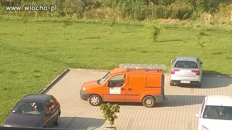 MISTRZ PARKOWANIA