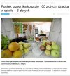 Taki mamy klimat