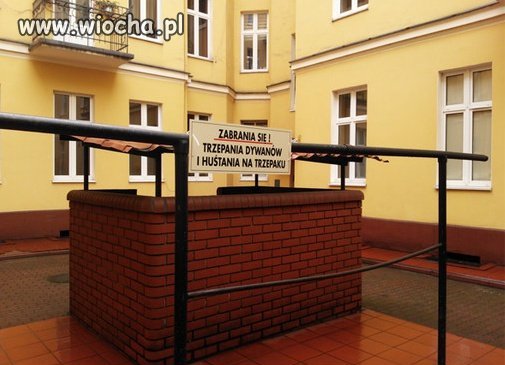 Posadzili winorośl
