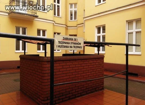 Posadzili winorośl