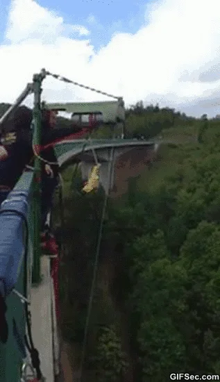 Bungee 