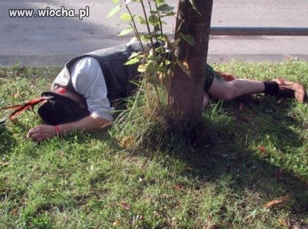 Niemcy śmieją się z polaków, że dużo piją