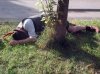 Niemcy śmieją się z polaków, że dużo piją