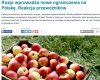 CZA było siedzieć cicho i sprzedawać