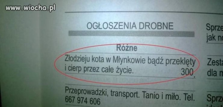 Ogłoszenia drobne.