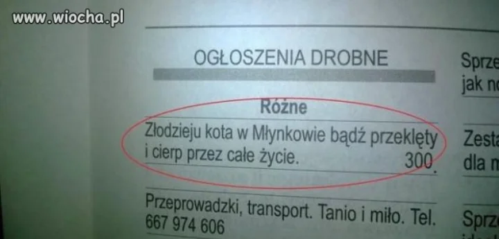 Ogłoszenia drobne.