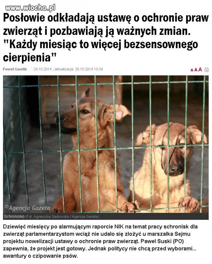 Nasi posłowie nie tylko nas mają w dupie. 