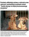 Nasi posłowie nie tylko nas mają w dupie. 