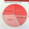 Tylko 104% studentów wzięło udział w ankiecie