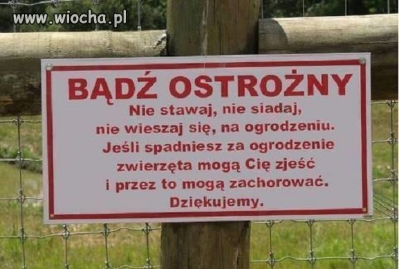 Bo mogą zachorować