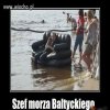 Bogactwo nad Bałtykiem