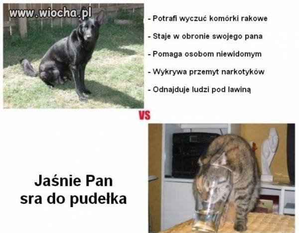 Komentarz zbędny.