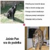 Komentarz zbędny.