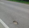 Pan Nowak zaginął podczas pracy,