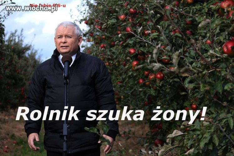 Bez komentarza
