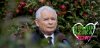 Już wkrótce nowy sezon 