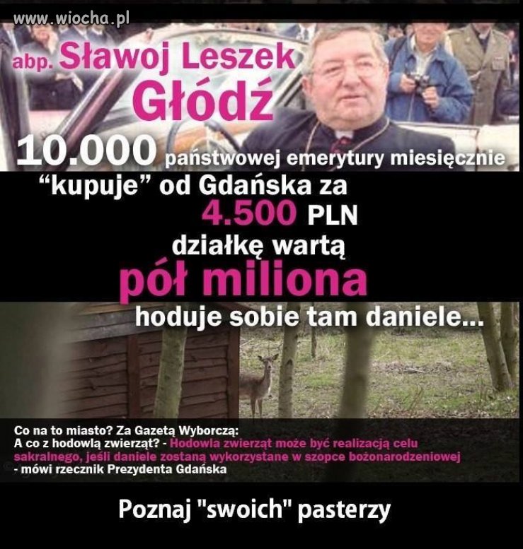 "Pasterz" 