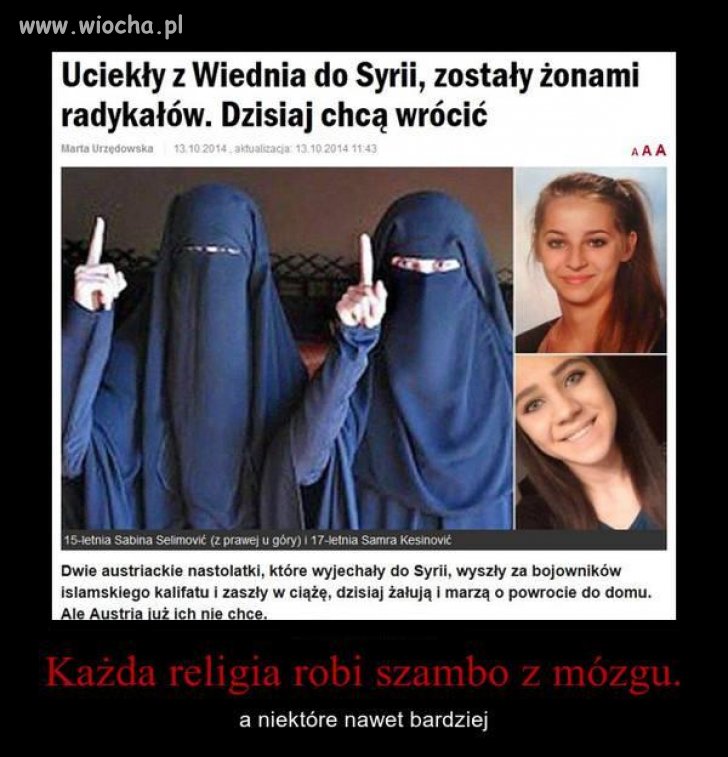 I pies je j...bał 
