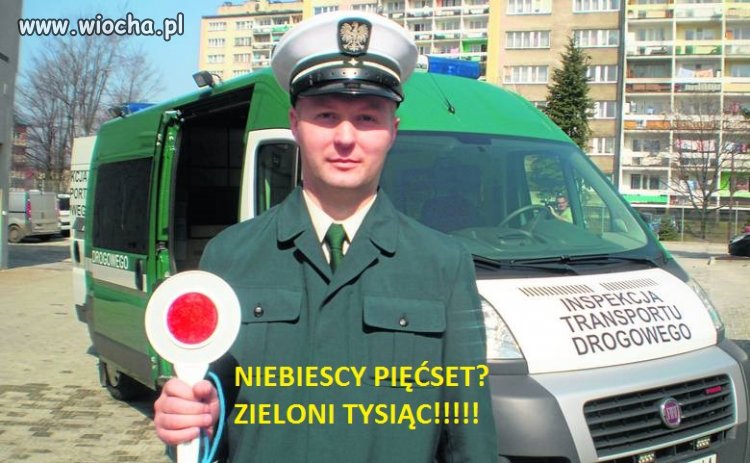ZIELONI TYSIĄC!