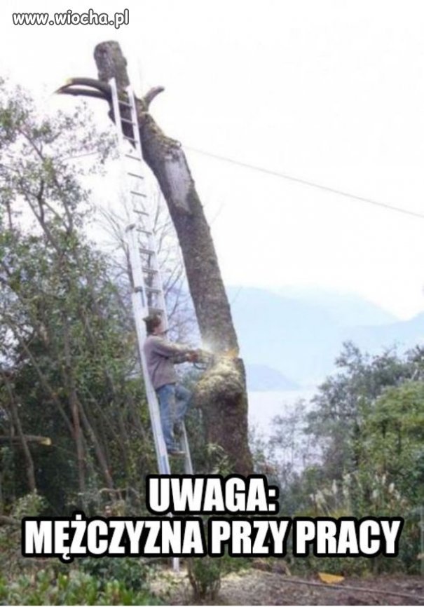 Uwaga 