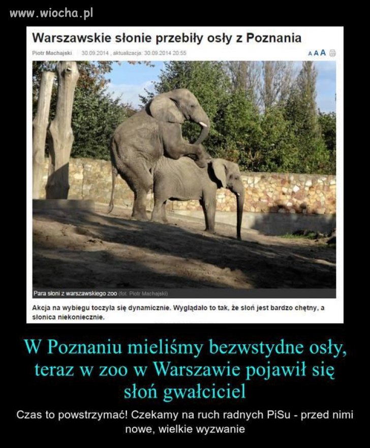 A to już sprawa "większej" wagi 