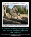 A to już sprawa "większej" wagi 