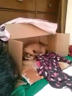Trochę się zdenerwował