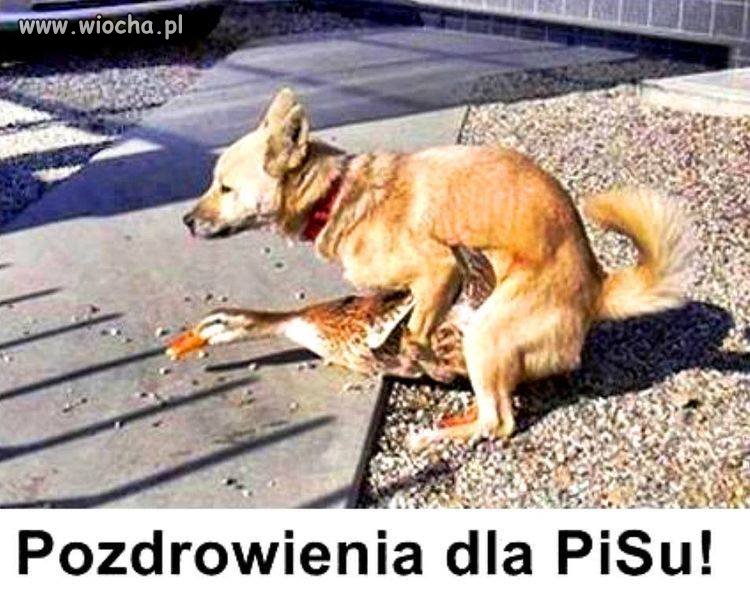 Od serca 