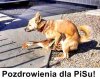 Od serca 