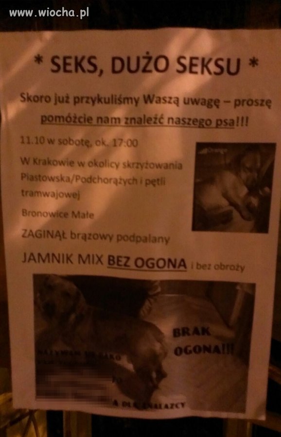 Ogłoszenie