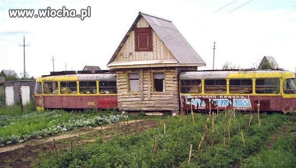 Działkowcy w Rosji