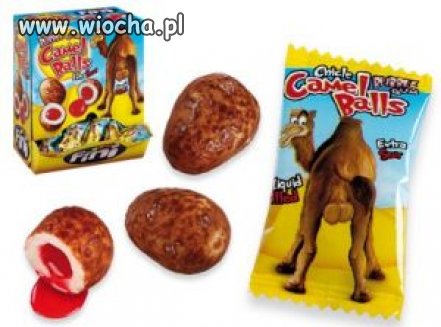 Jaja wielbłąda