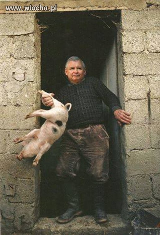 Kaczyński to się chociaż nie p..doli... 