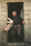 Kaczyński to się chociaż nie p..doli... 