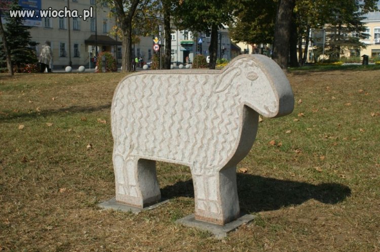"sensowna inwestycja" wg prezydnta miasta Suwałk