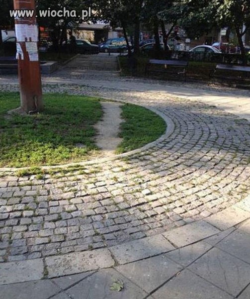 A mówili: Nie deptać trawnika