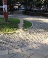 A mówili: Nie deptać trawnika