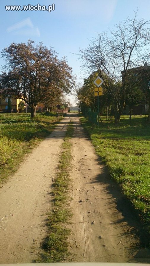 Co do chu*a grane jest?!