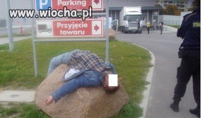 Pełen luz