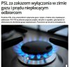 Wyborczy pomysł PSLu